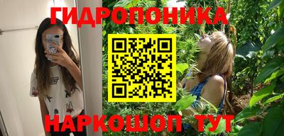 прущие грибы Балахна