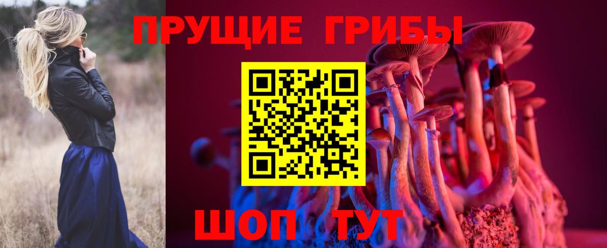 Галлюциногенные грибы мицелий  Вход с VPN  Балашов  Псилоцибиновые грибы ЛСД 